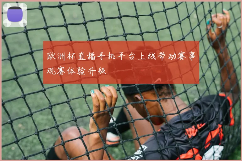 欧洲杯直播手机平台上线带动赛事观赛体验升级