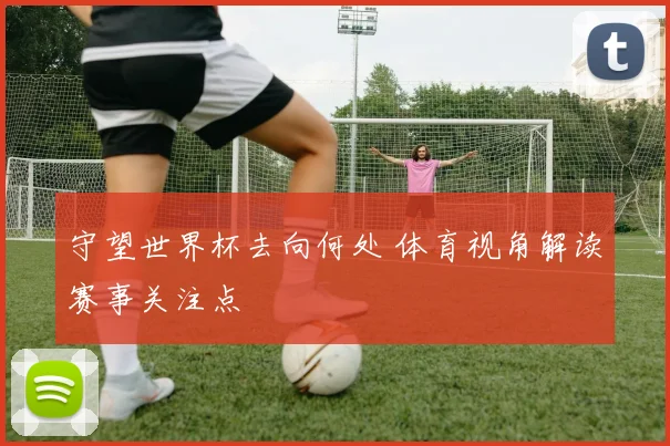 守望世界杯去向何处 体育视角解读赛事关注点