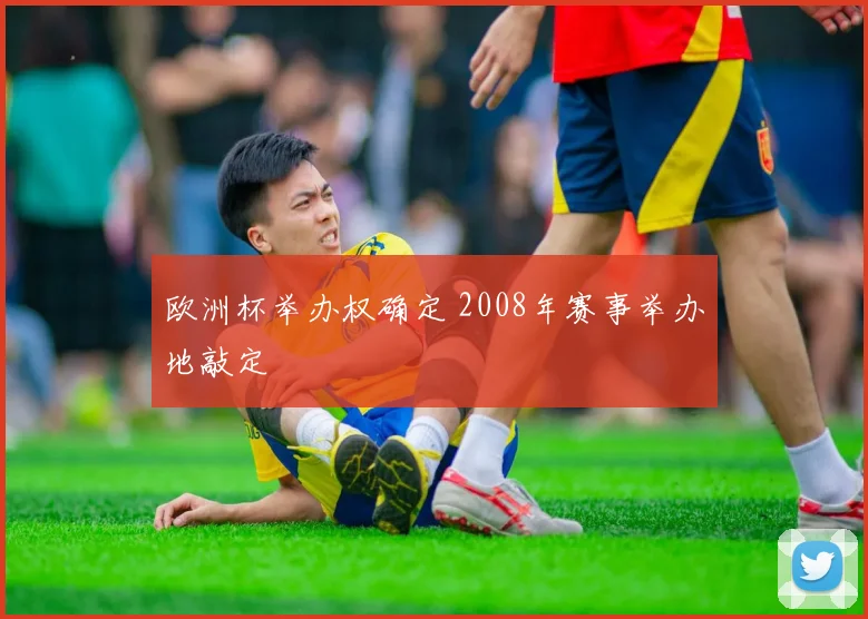 欧洲杯举办权确定 2008年赛事举办地敲定