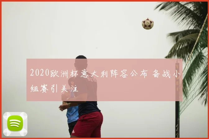 2020欧洲杯意大利阵容公布 备战小组赛引关注