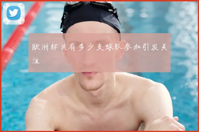 欧洲杯共有多少支球队参加引发关注