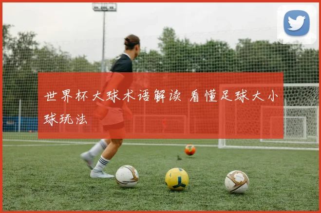 世界杯大球术语解读 看懂足球大小球玩法
