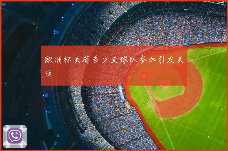 欧洲杯共有多少支球队参加引发关注