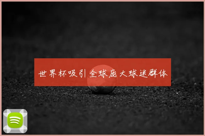 世界杯吸引全球庞大球迷群体