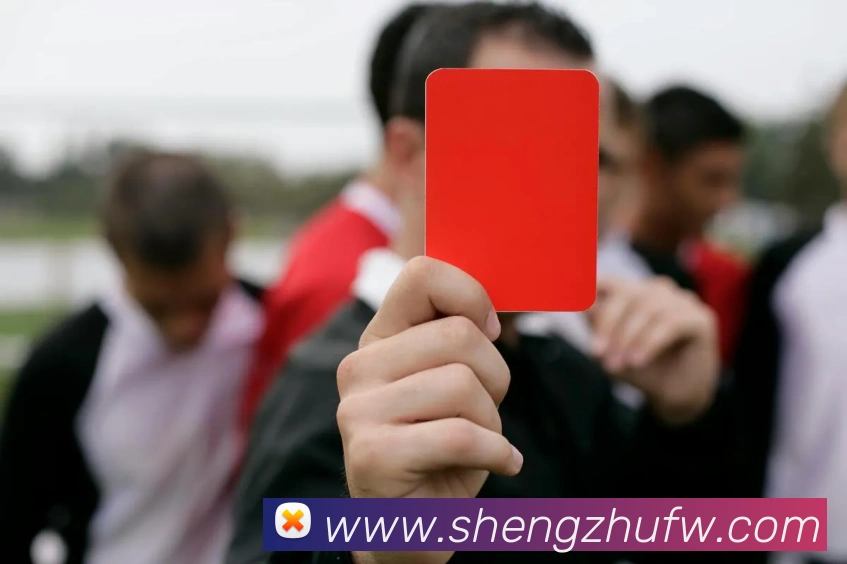 未来规划