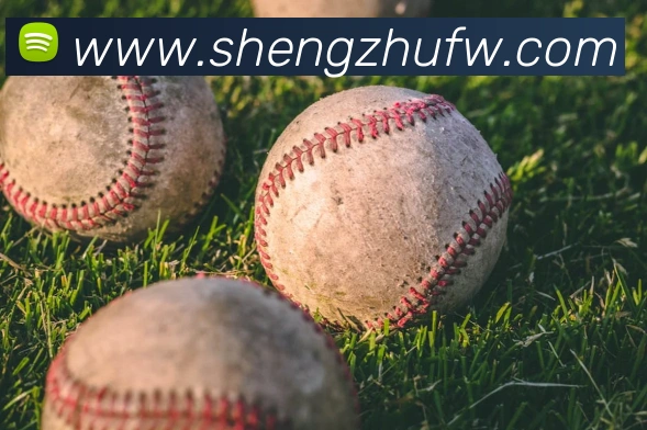 ng苹果下载全站App